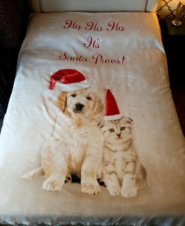 Santa Paws, Puppy and Kitten Christmas Double Duvet