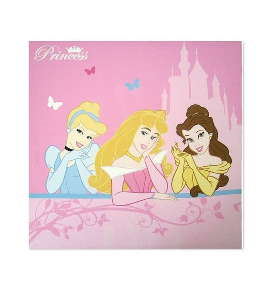 Pink Wall Canvas with Cinderella, Belle and Sleeping Beauty - Disney Princess Theme.