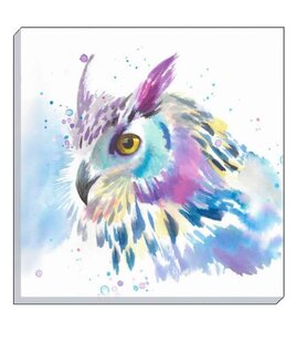 Watercolour Owl Canvas Art  40 x 40 cm
