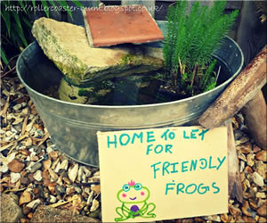 Attract Frogs - Make A Mini Pond
